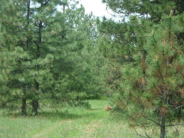 Picture 25