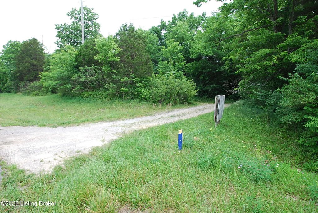 Picture 10