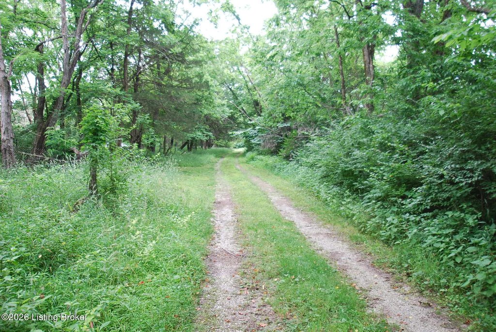 Picture 14