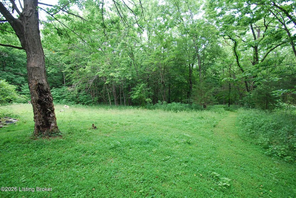 Picture 23