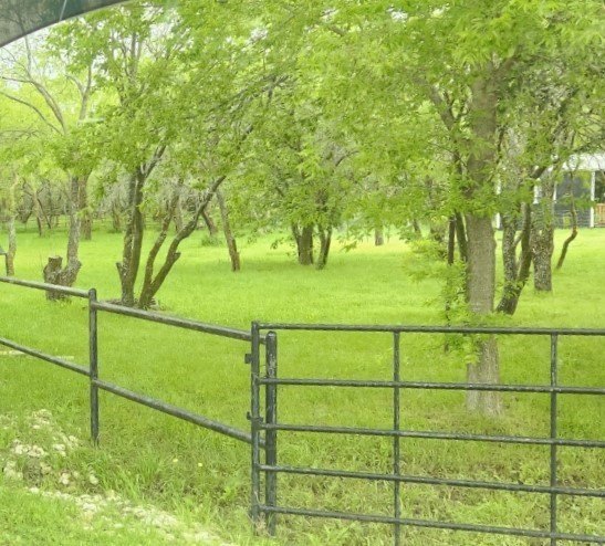 Picture 11