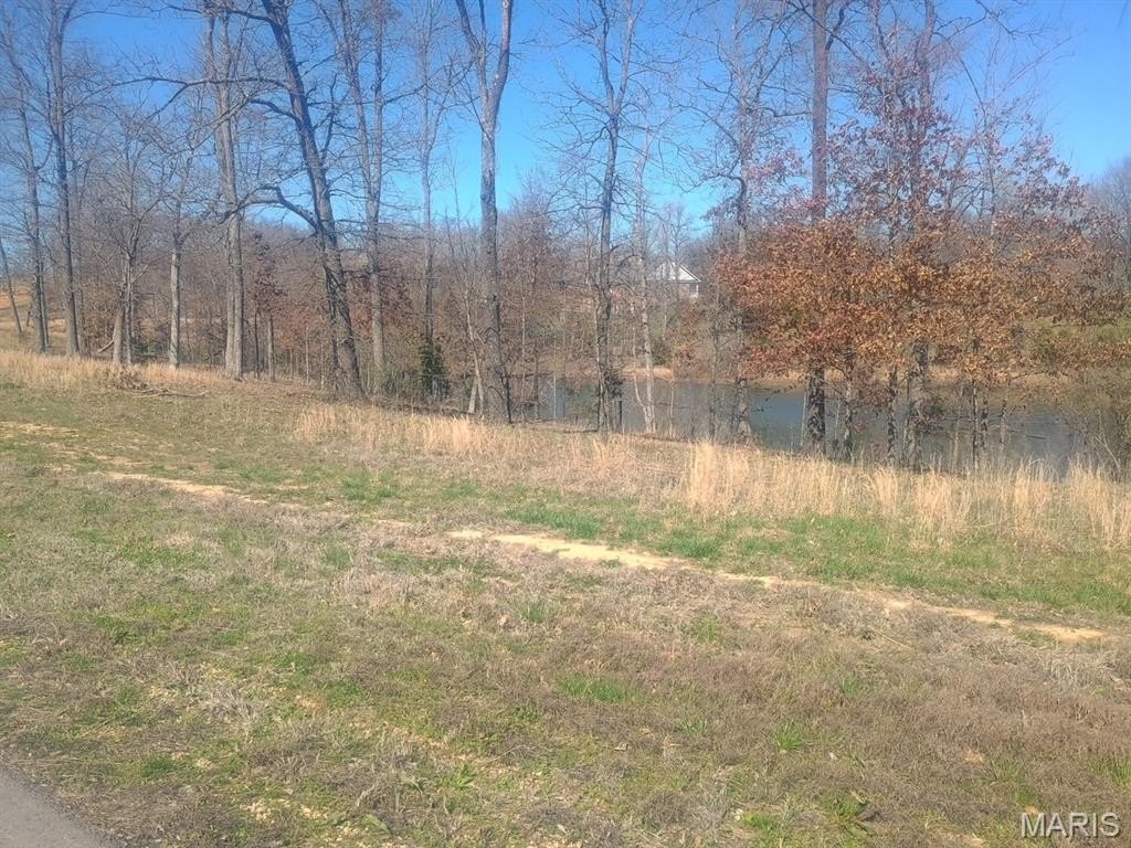 Picture 2