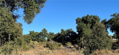 Hemet Land with Oak Grove