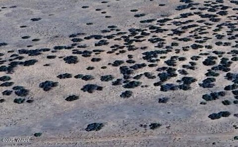 Land Near Petrified Forest