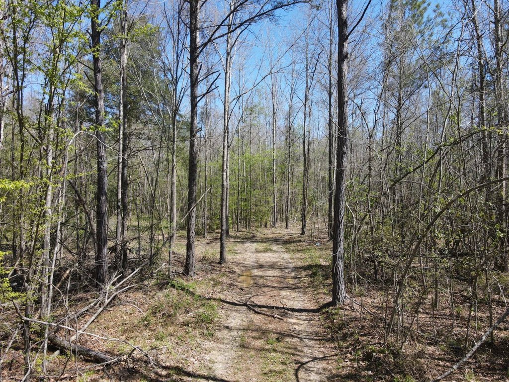 Picture 23
