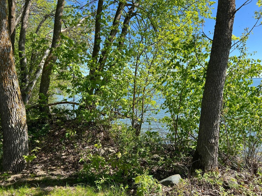 Picture 9