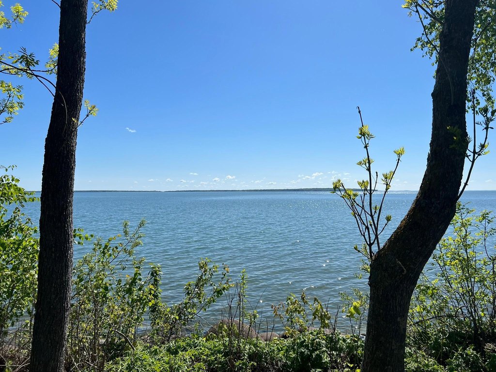 Picture 5