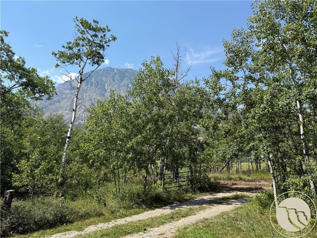 Picture 3