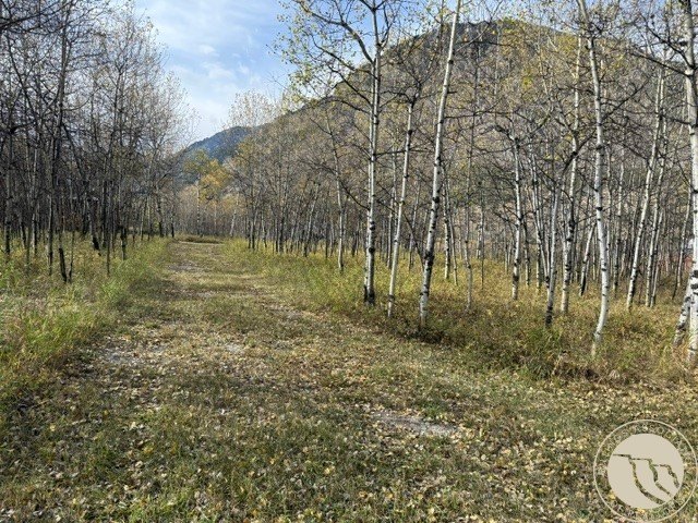 Picture 12