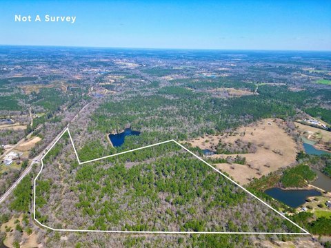 Secluded Wooded Land Near Town