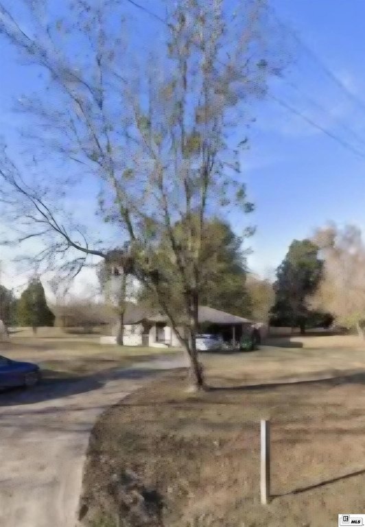 Picture 3