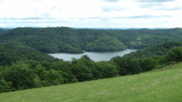 Picture 12