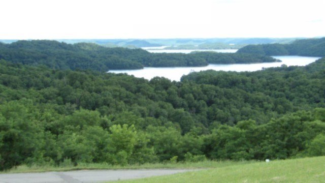 Picture 13