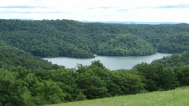 Picture 9