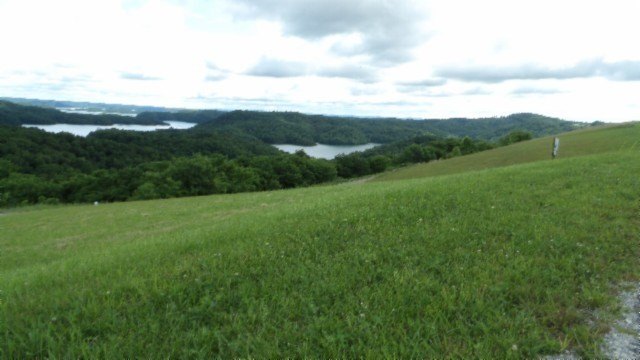 Picture 15