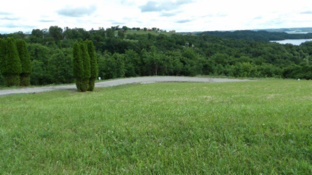 Picture 7