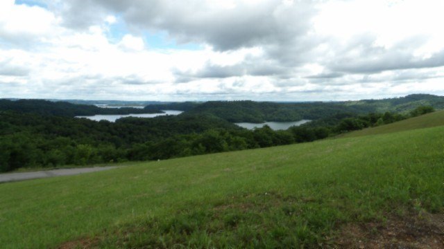 Picture 8