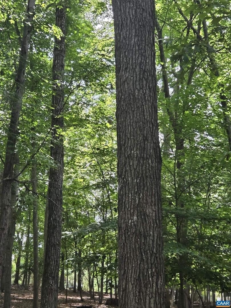 Buildable Lot Near Lake Monticello