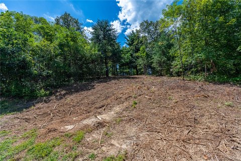 Land, Landrum, SC