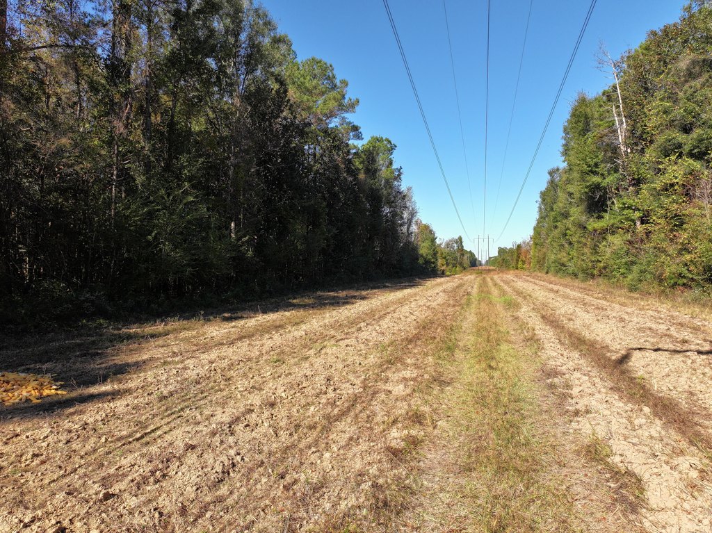 Picture 9