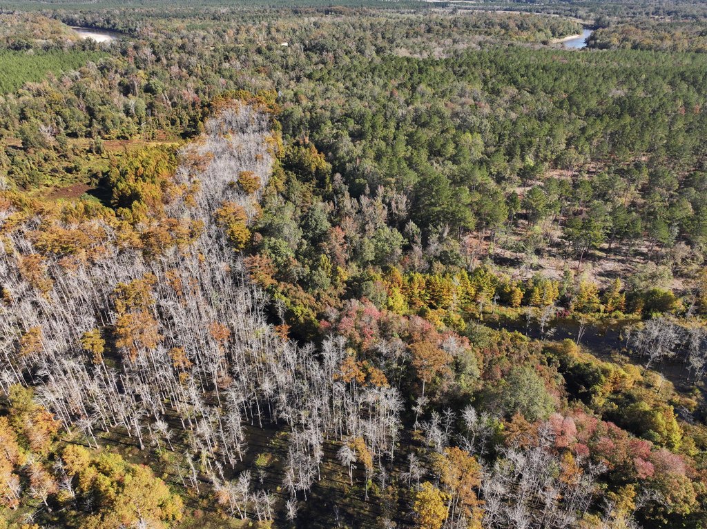 Picture 14