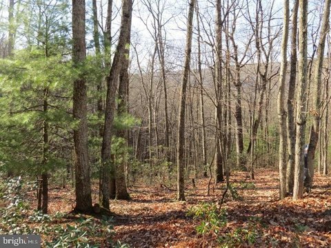 Wooded Lots in Mathias, WV