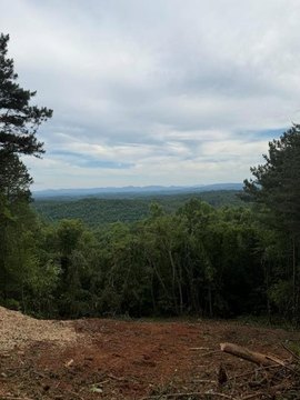 LAND - Blue Ridge, GA