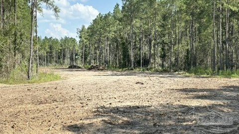 Land, Milton, FL