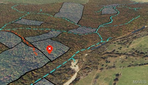 8.847 Acres Near National Forest