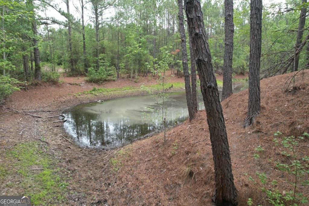 Picture 13