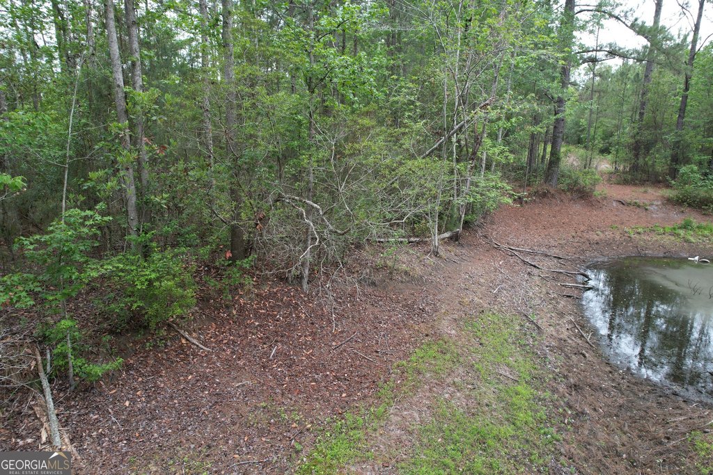 Picture 14