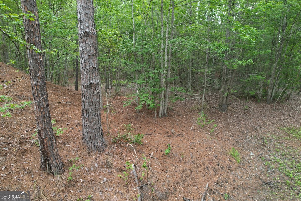 Picture 10