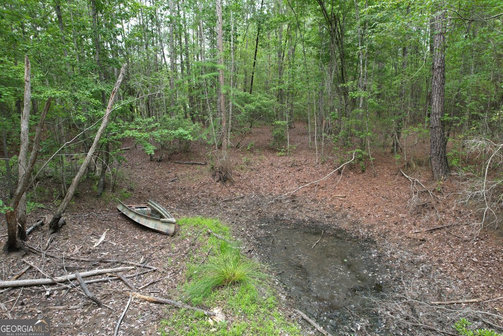 Picture 12
