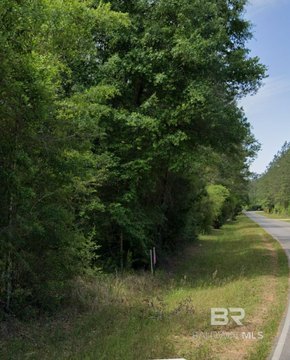 Wooded Land Near Byrnes Lake