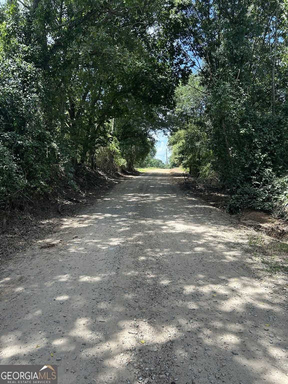 Picture 2