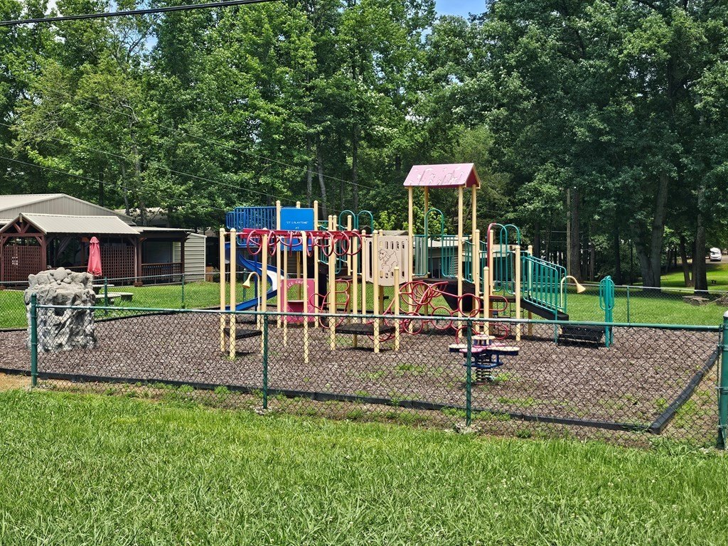 Picture 24