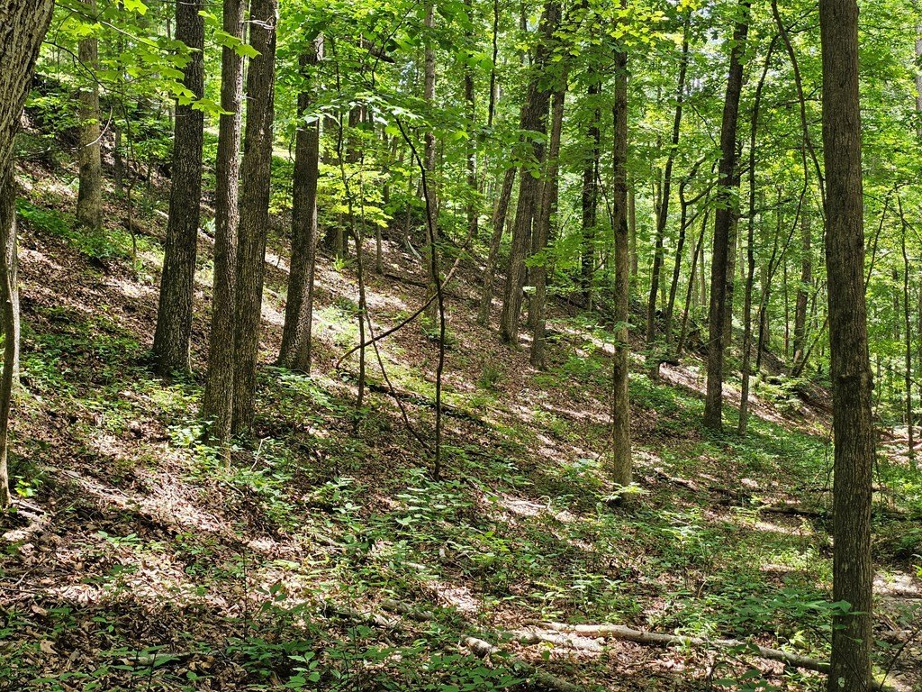 Picture 16