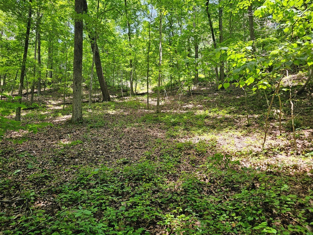 Picture 17