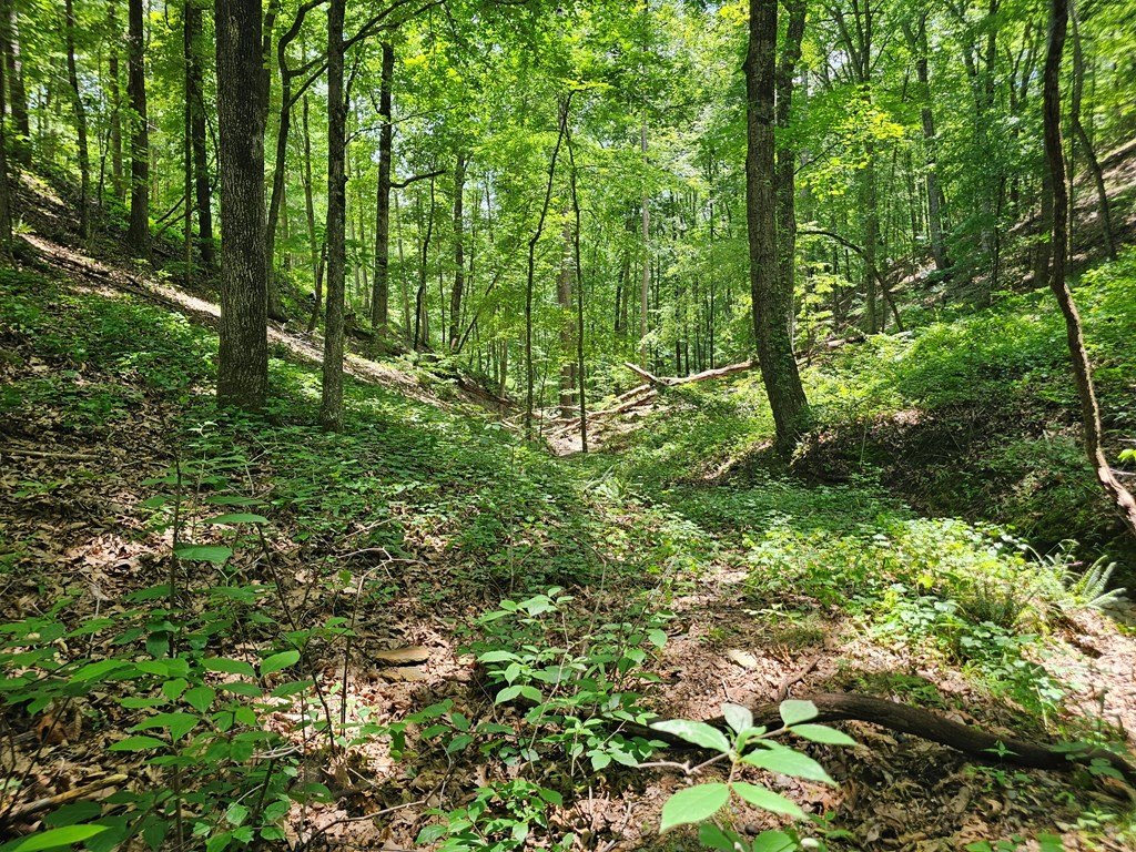 Picture 10