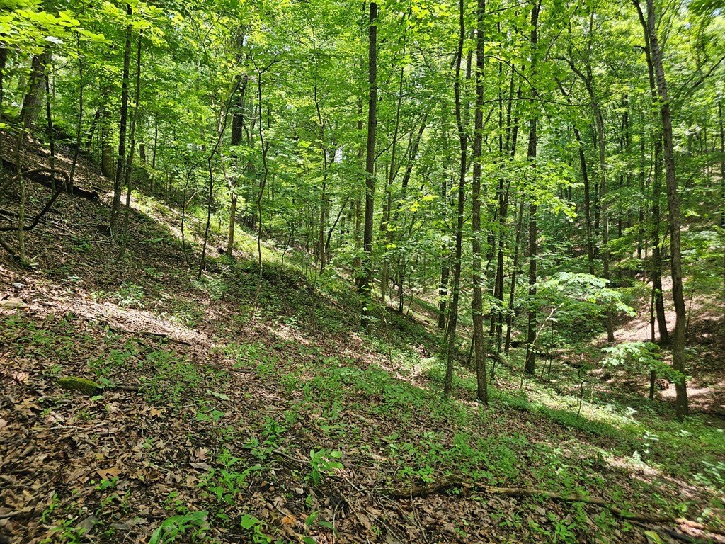 Picture 19