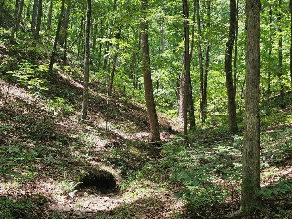 Picture 8