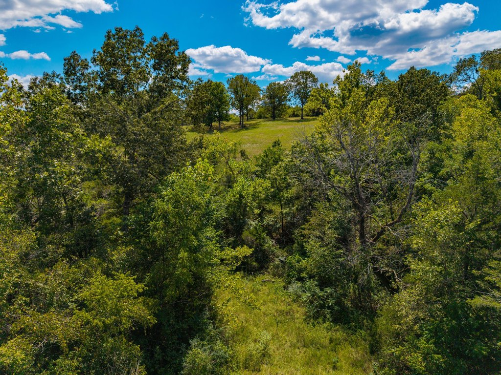Picture 22