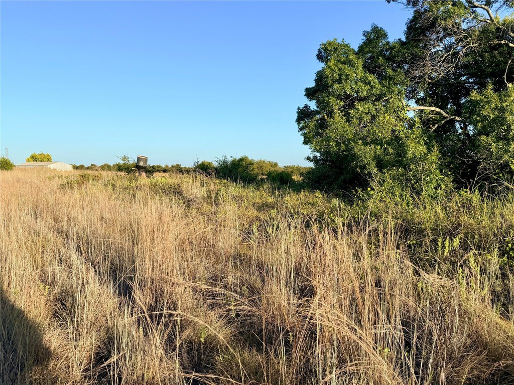 Picture 27