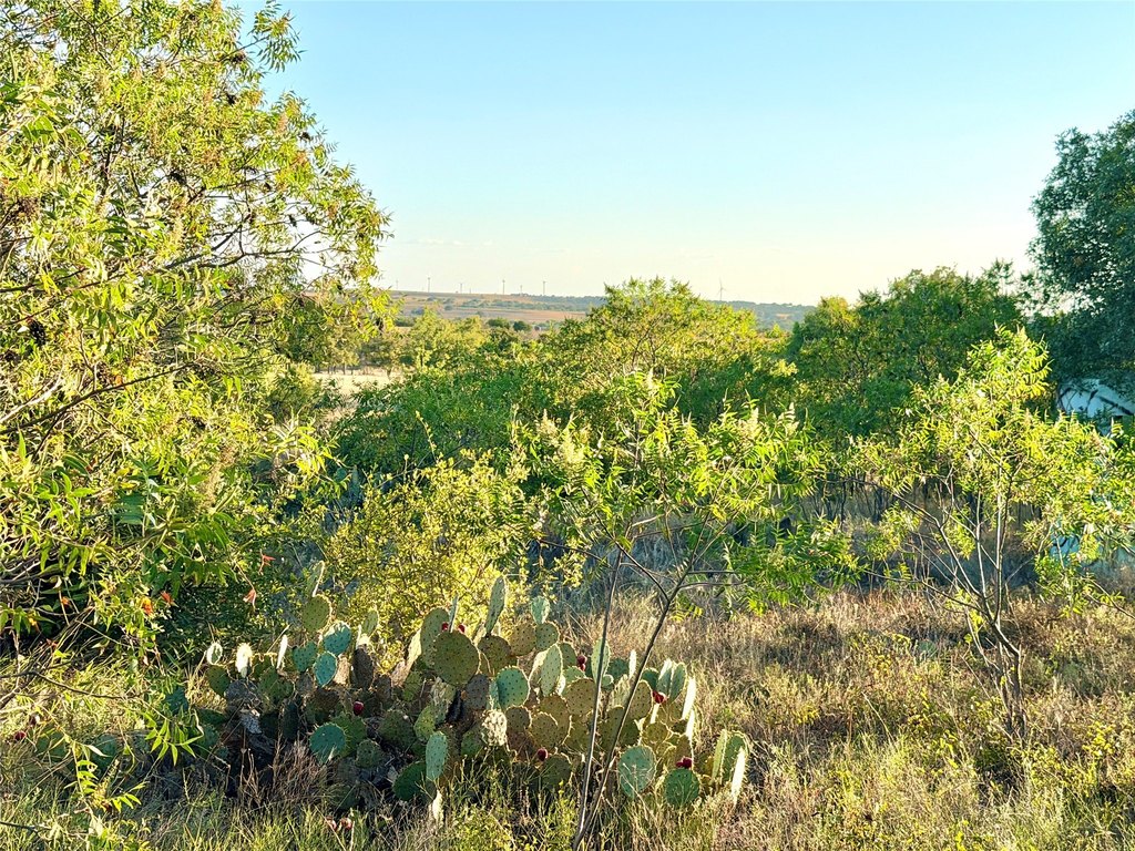 Picture 31