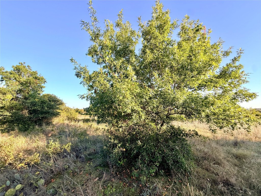 Picture 23