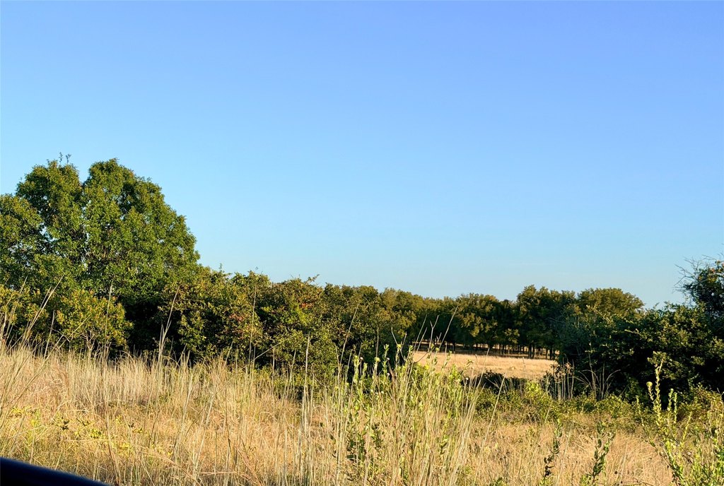 Picture 34