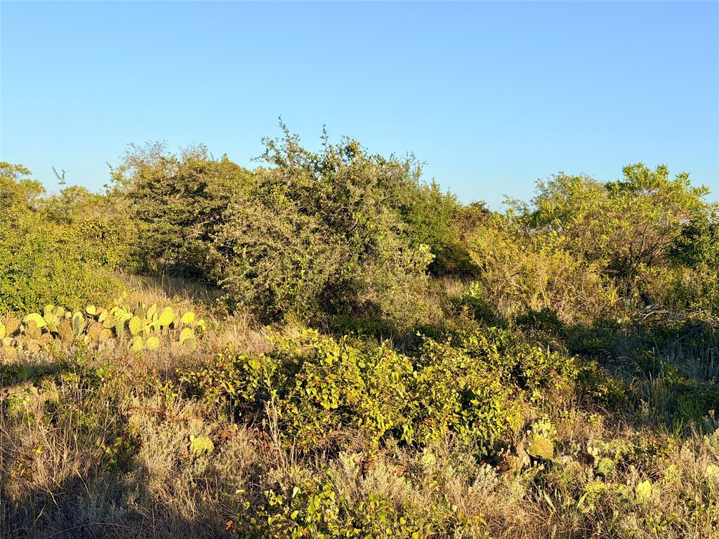 Picture 28