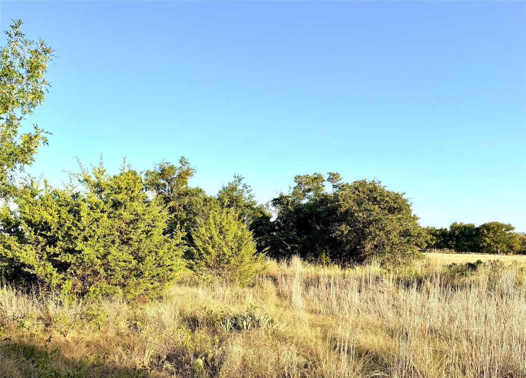 Picture 22