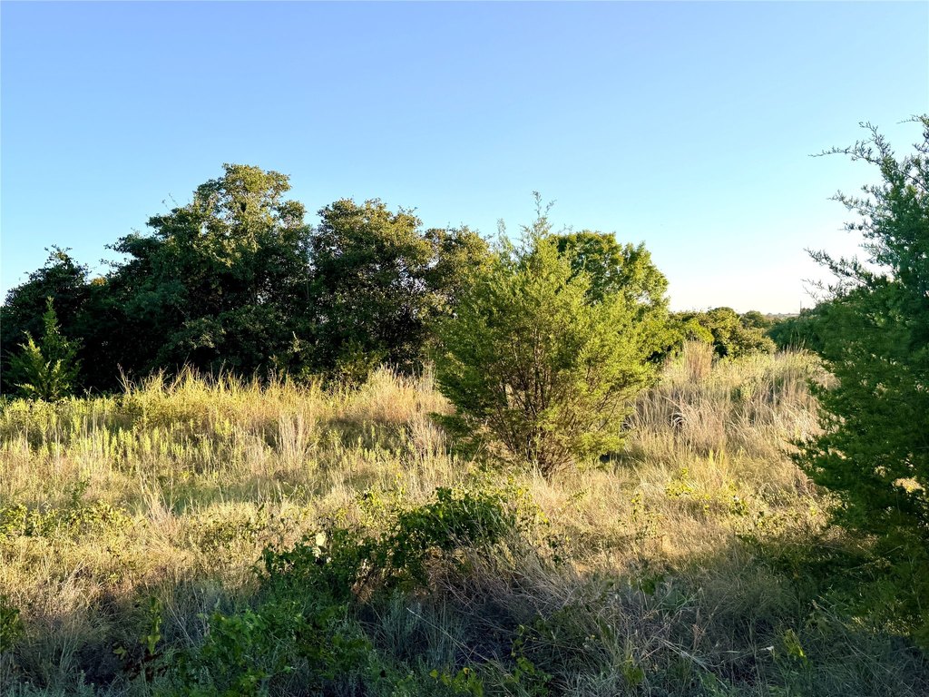 Picture 25