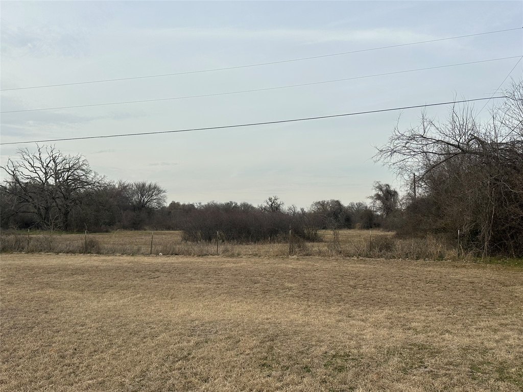 Picture 3